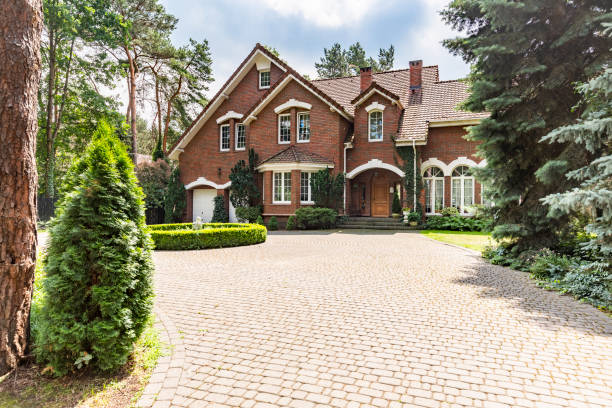 Best Best Driveway Pavers  in Princevle, IL